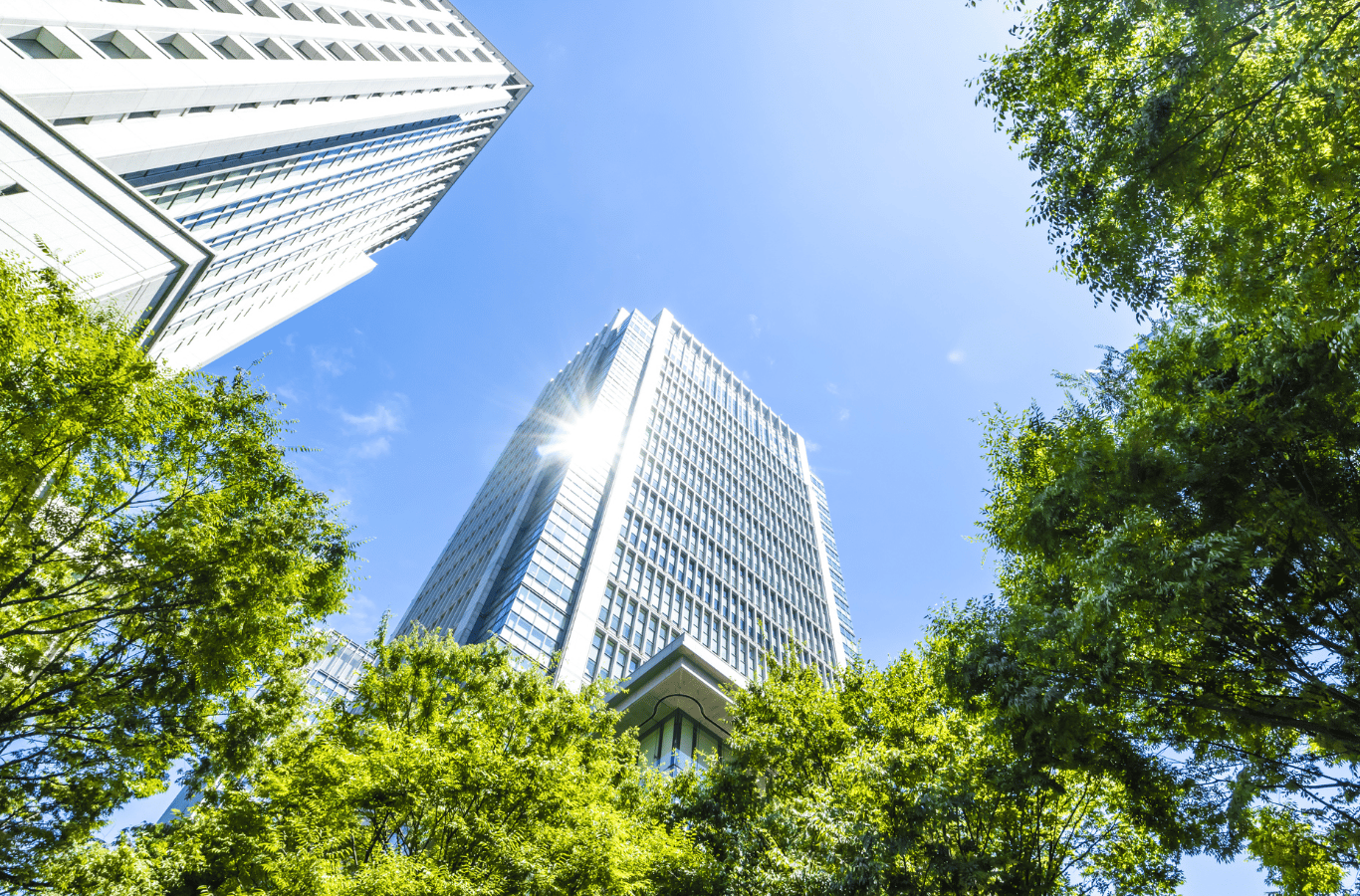 企業情報